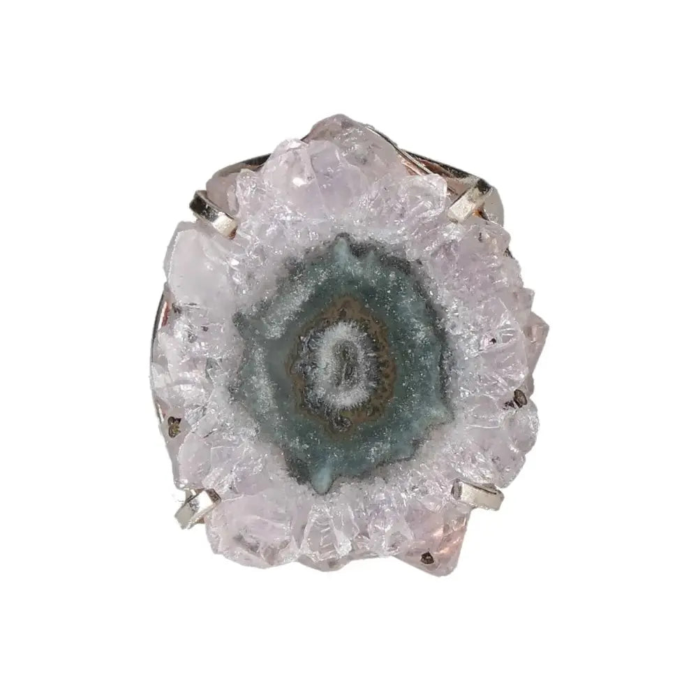 orbitvu|type:image2d