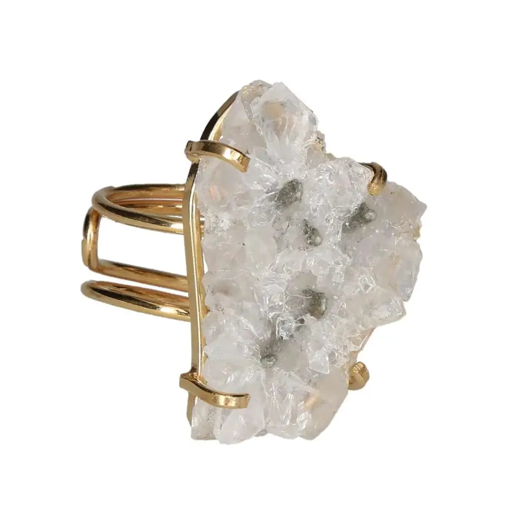 orbitvu|type:image2d