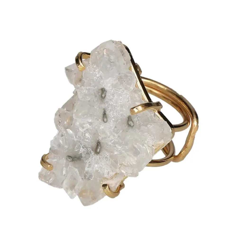 orbitvu|type:image2d