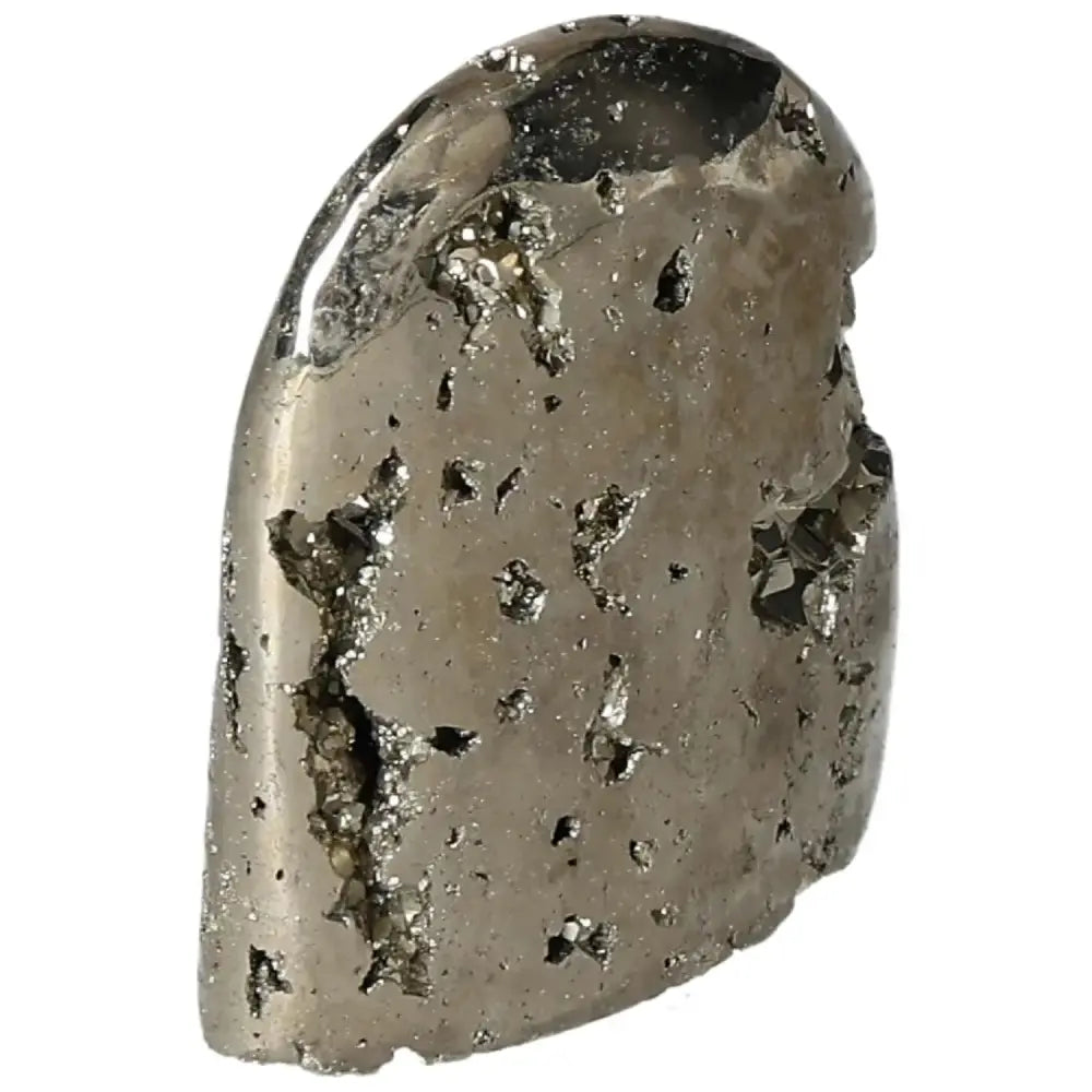 orbitvu|type:image2d