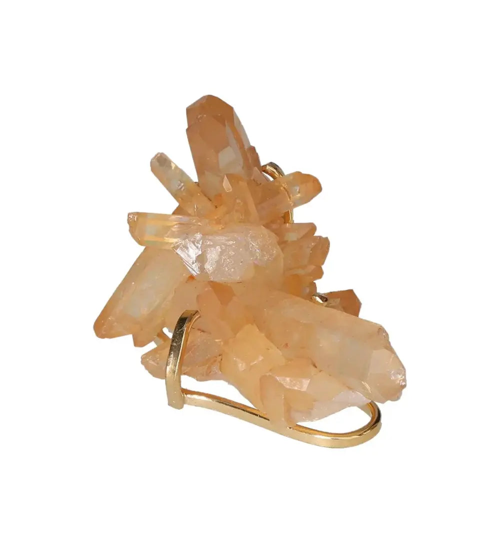 orbitvu|type:image2d