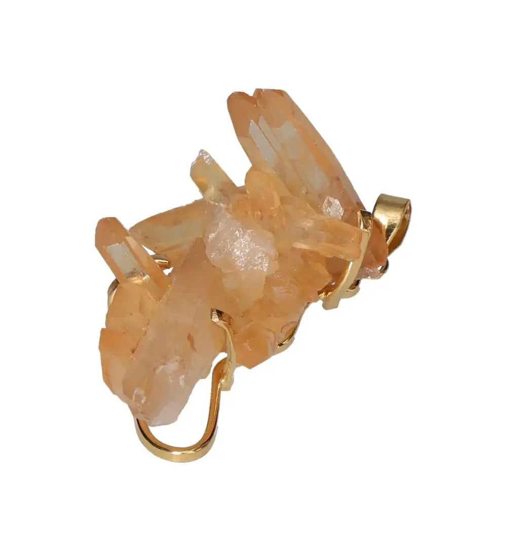 orbitvu|type:image2d