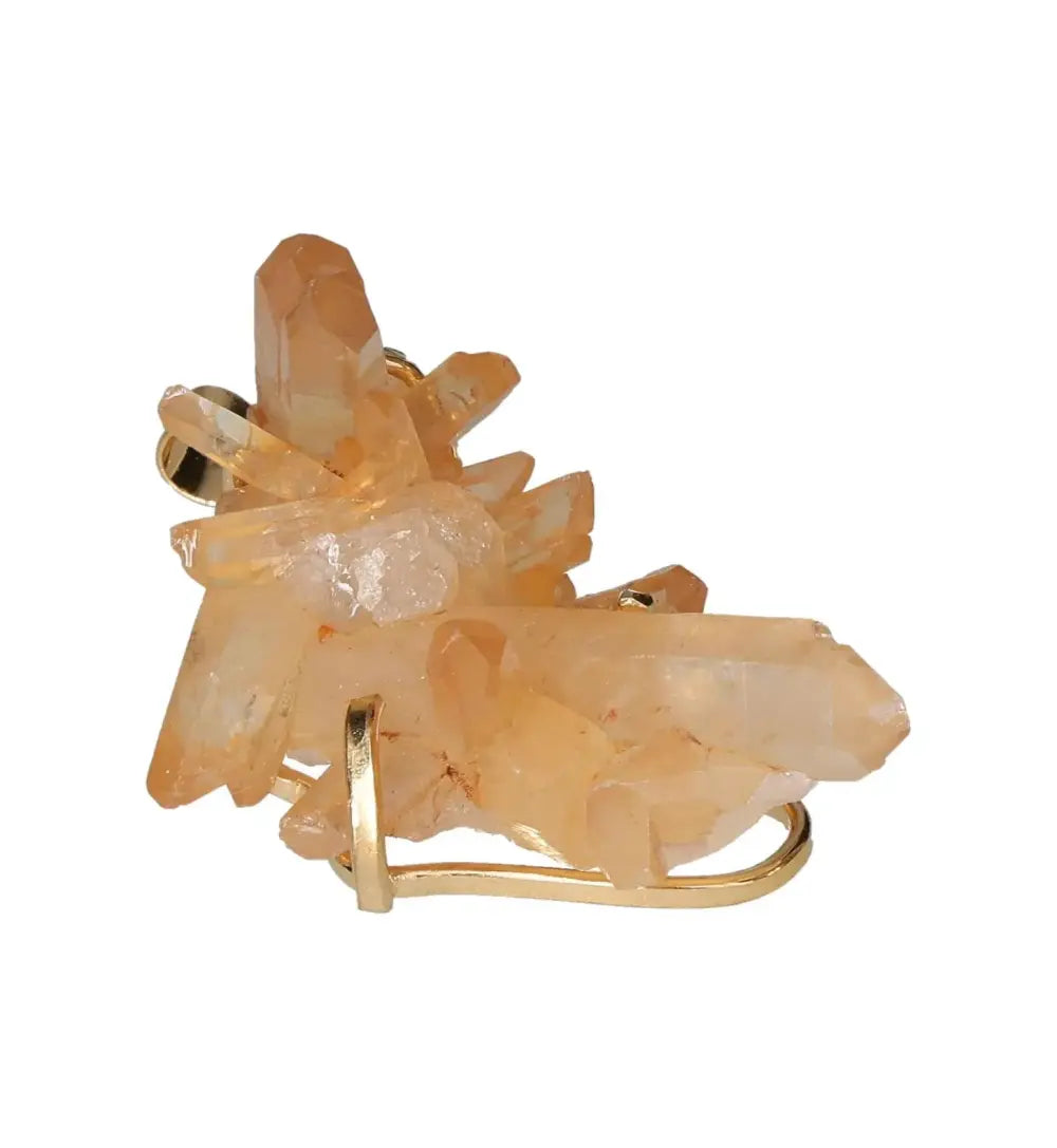 orbitvu|type:image2d