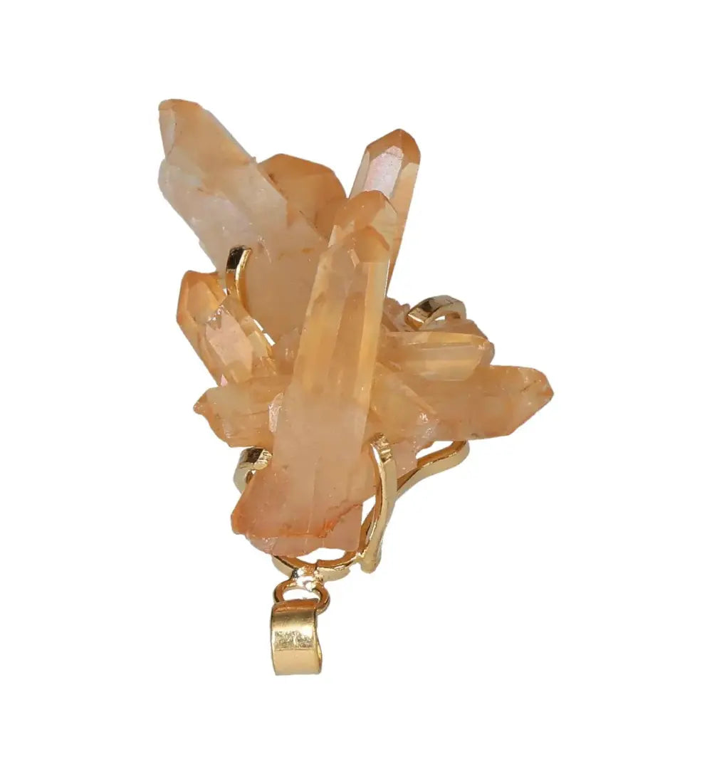 orbitvu|type:image2d