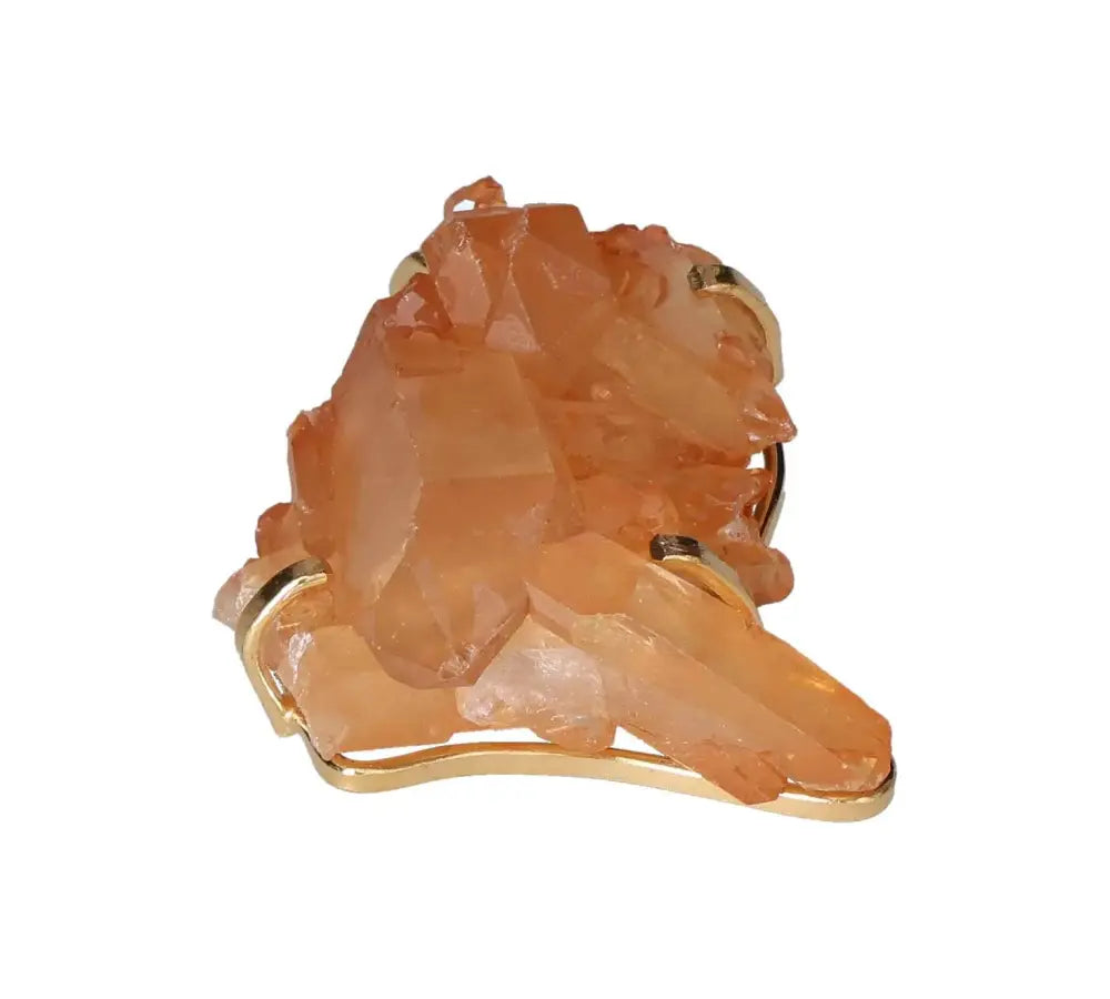 orbitvu|type:image2d