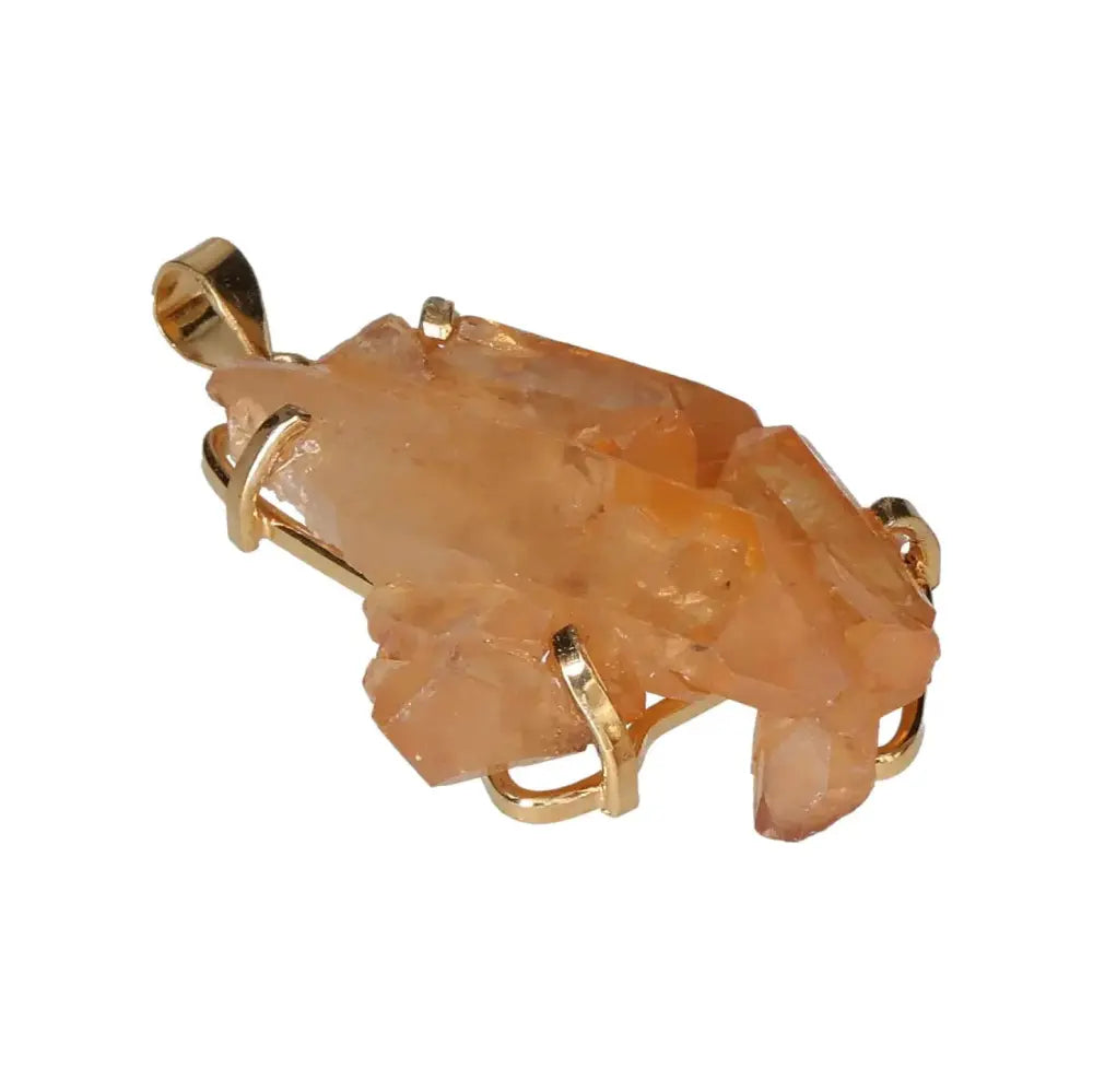 orbitvu|type:image2d