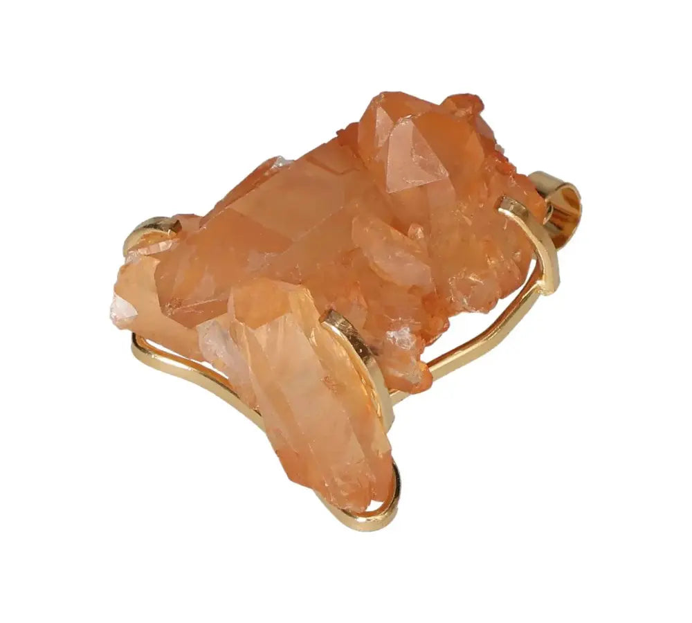 orbitvu|type:image2d