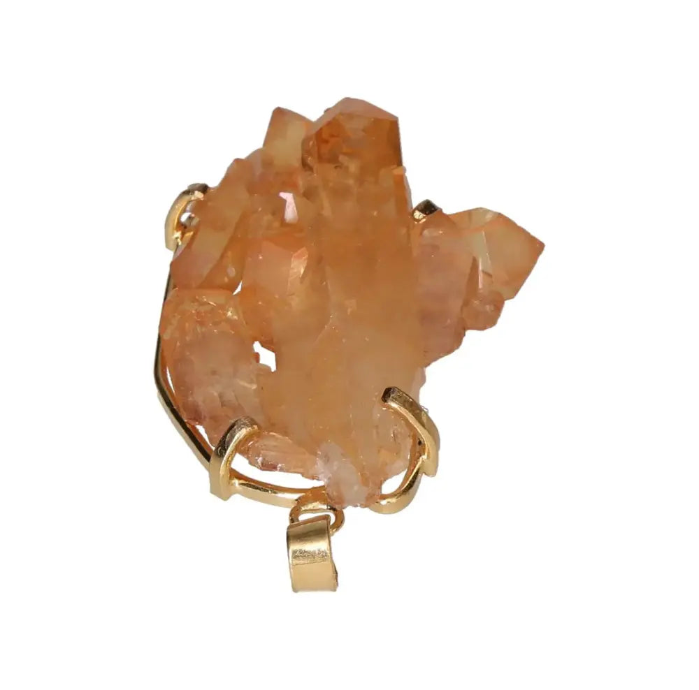 orbitvu|type:image2d