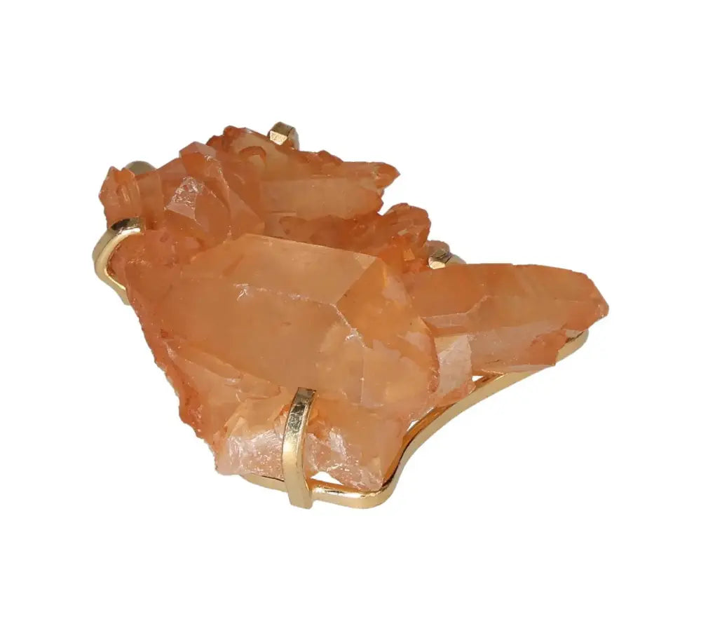 orbitvu|type:image2d