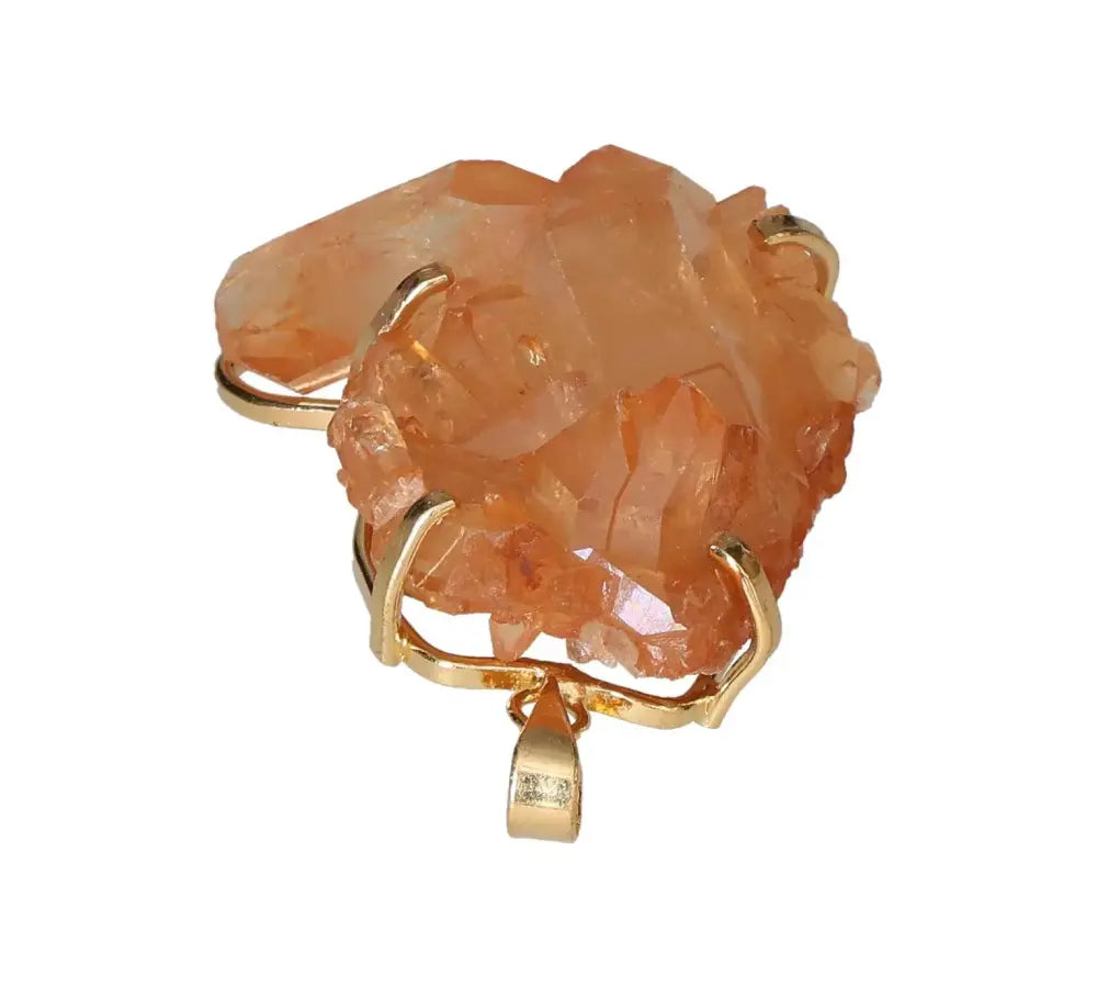 orbitvu|type:image2d