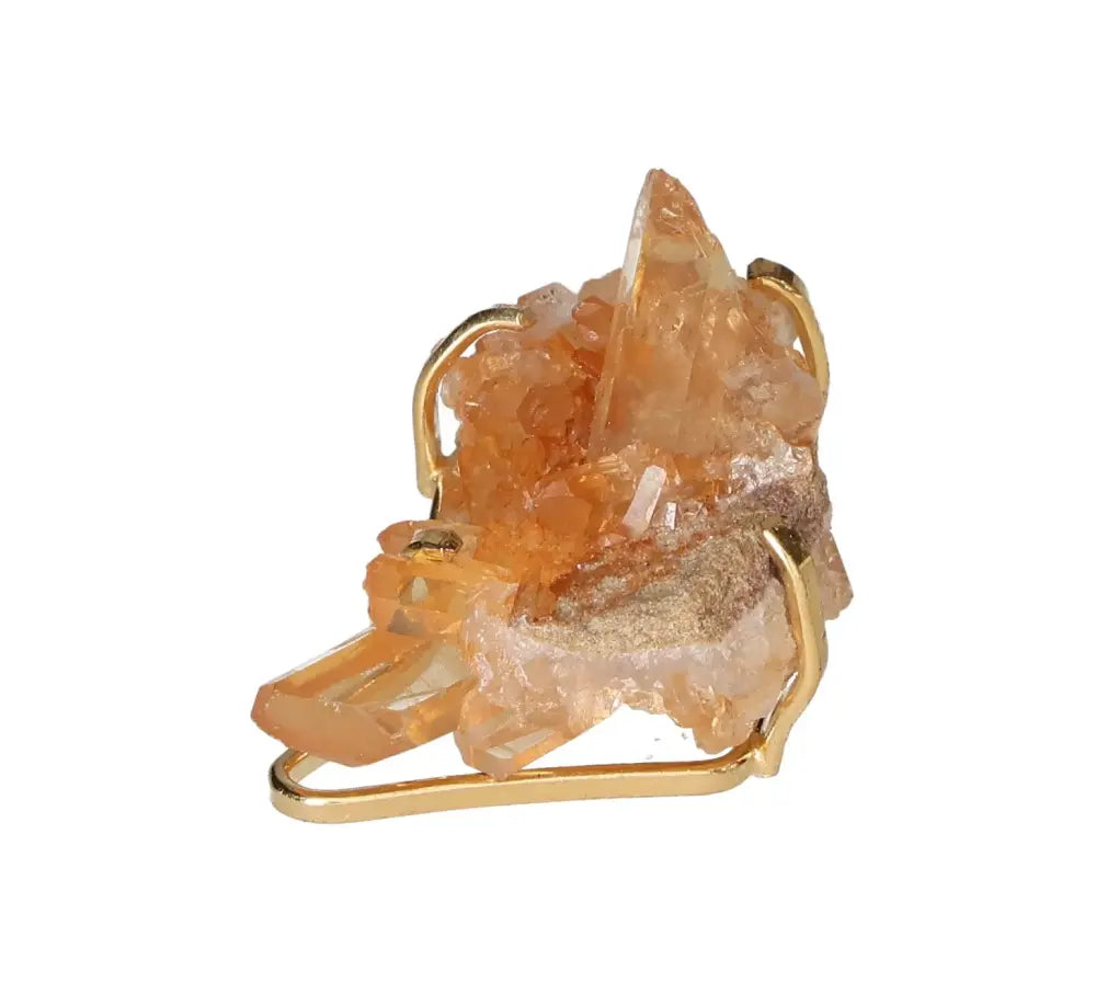 orbitvu|type:image2d