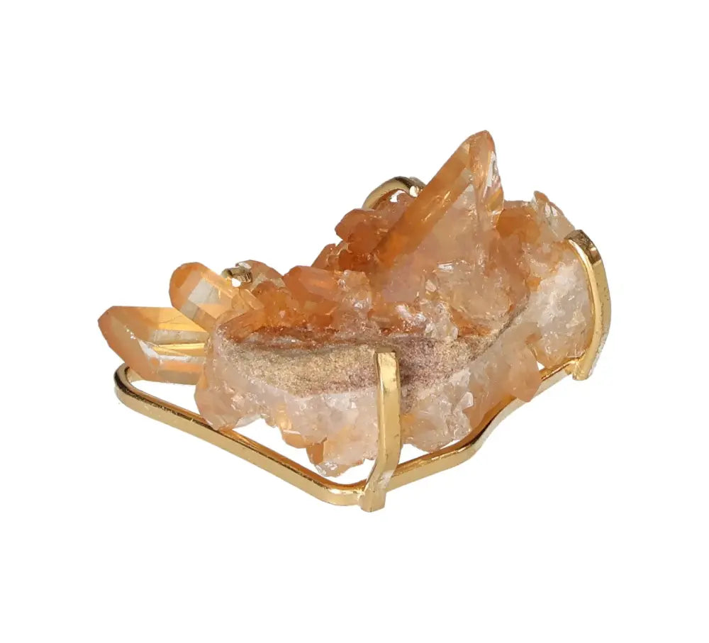 orbitvu|type:image2d