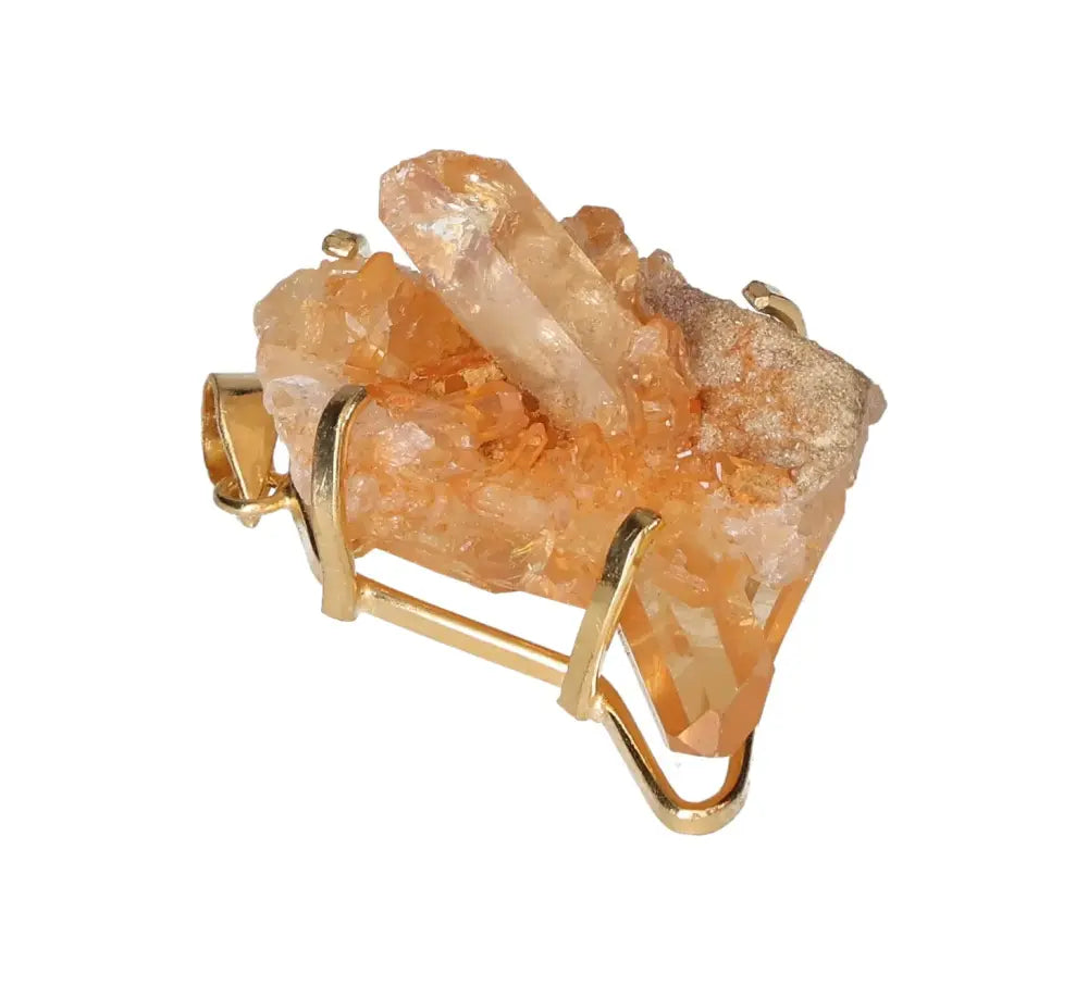 orbitvu|type:image2d