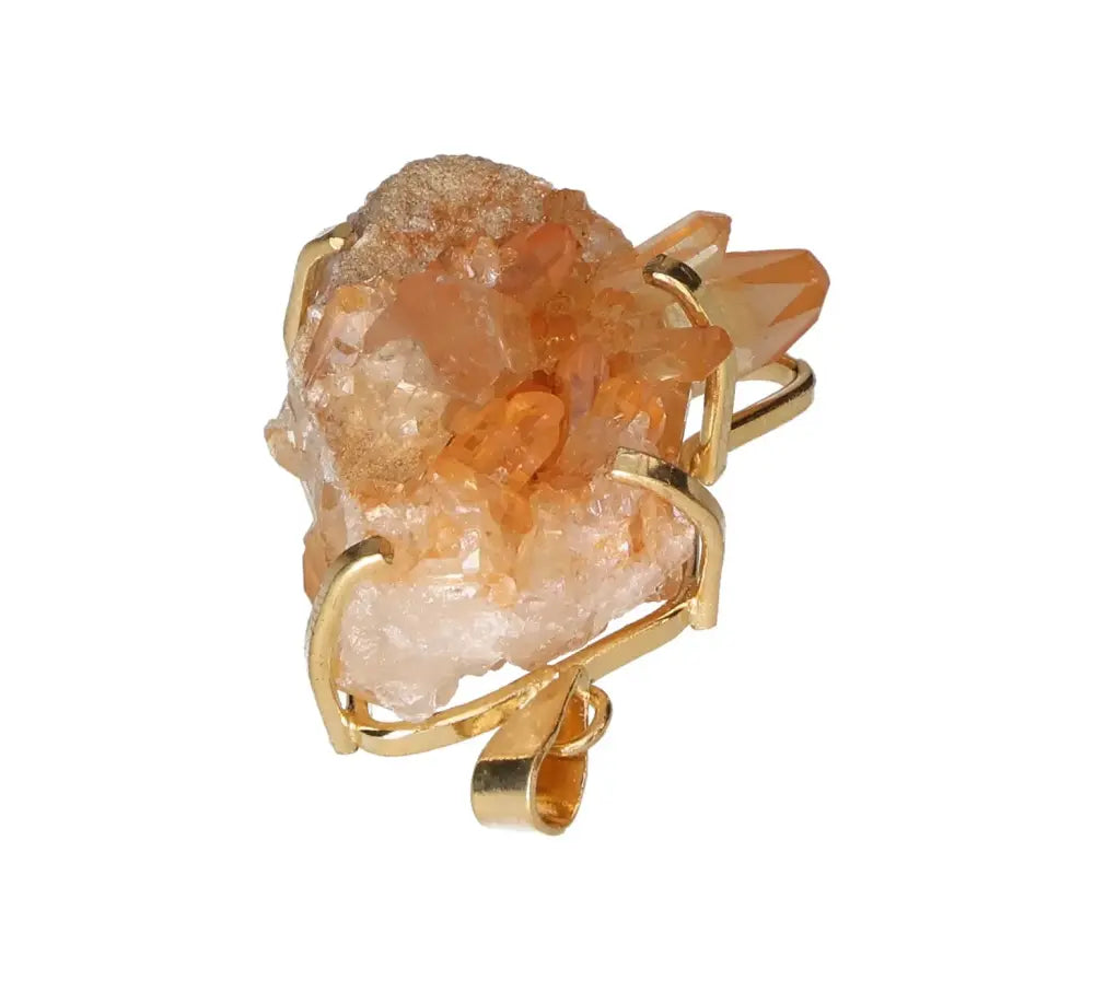 orbitvu|type:image2d