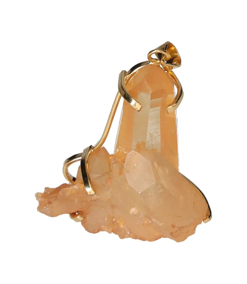 orbitvu|type:image2d