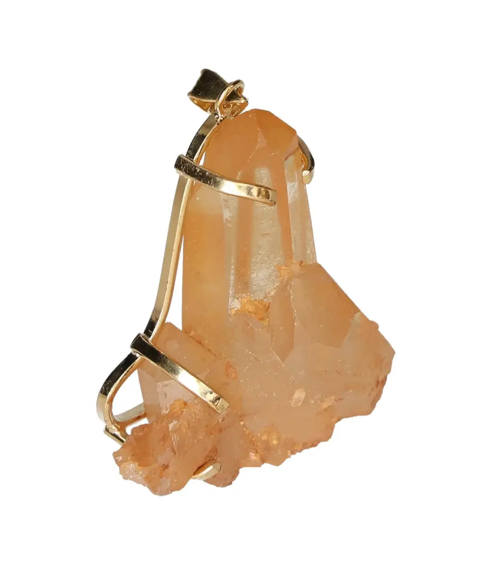 orbitvu|type:image2d