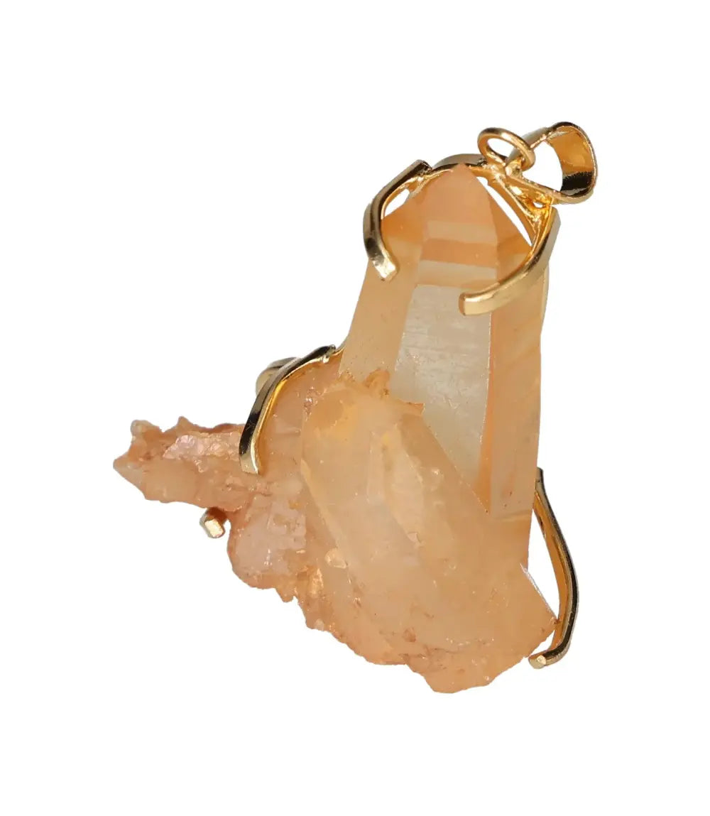 orbitvu|type:image2d