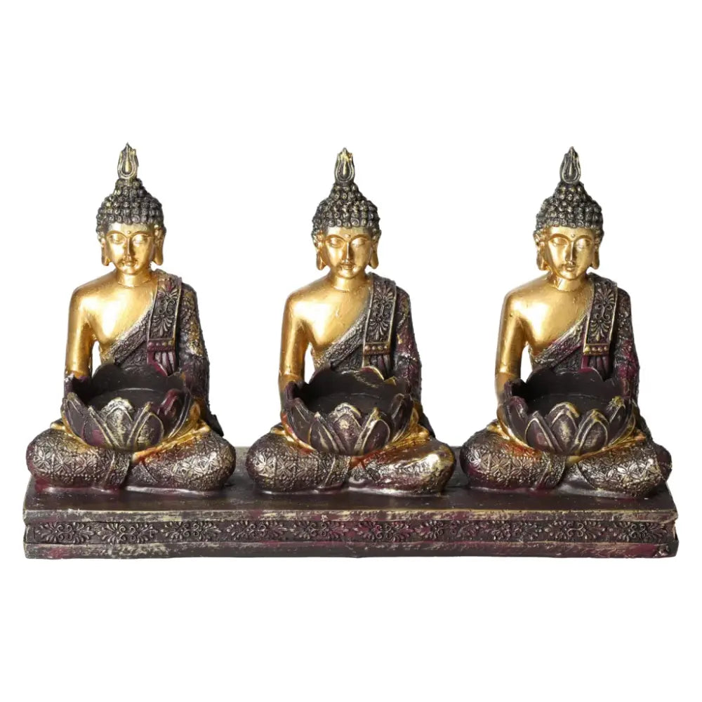 orbitvu|type:ORBITVU 360|https://orbitvu.co/share/LwJeBeeMKx3V9oHFZerAEK/6593238/360/iframe