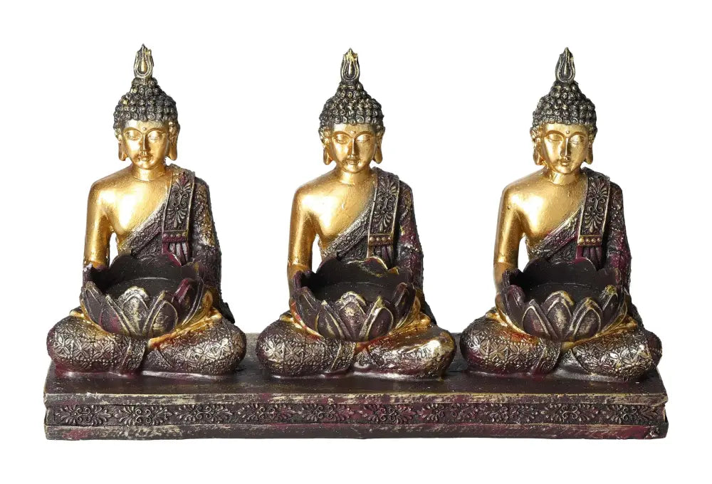 orbitvu|type:image2d