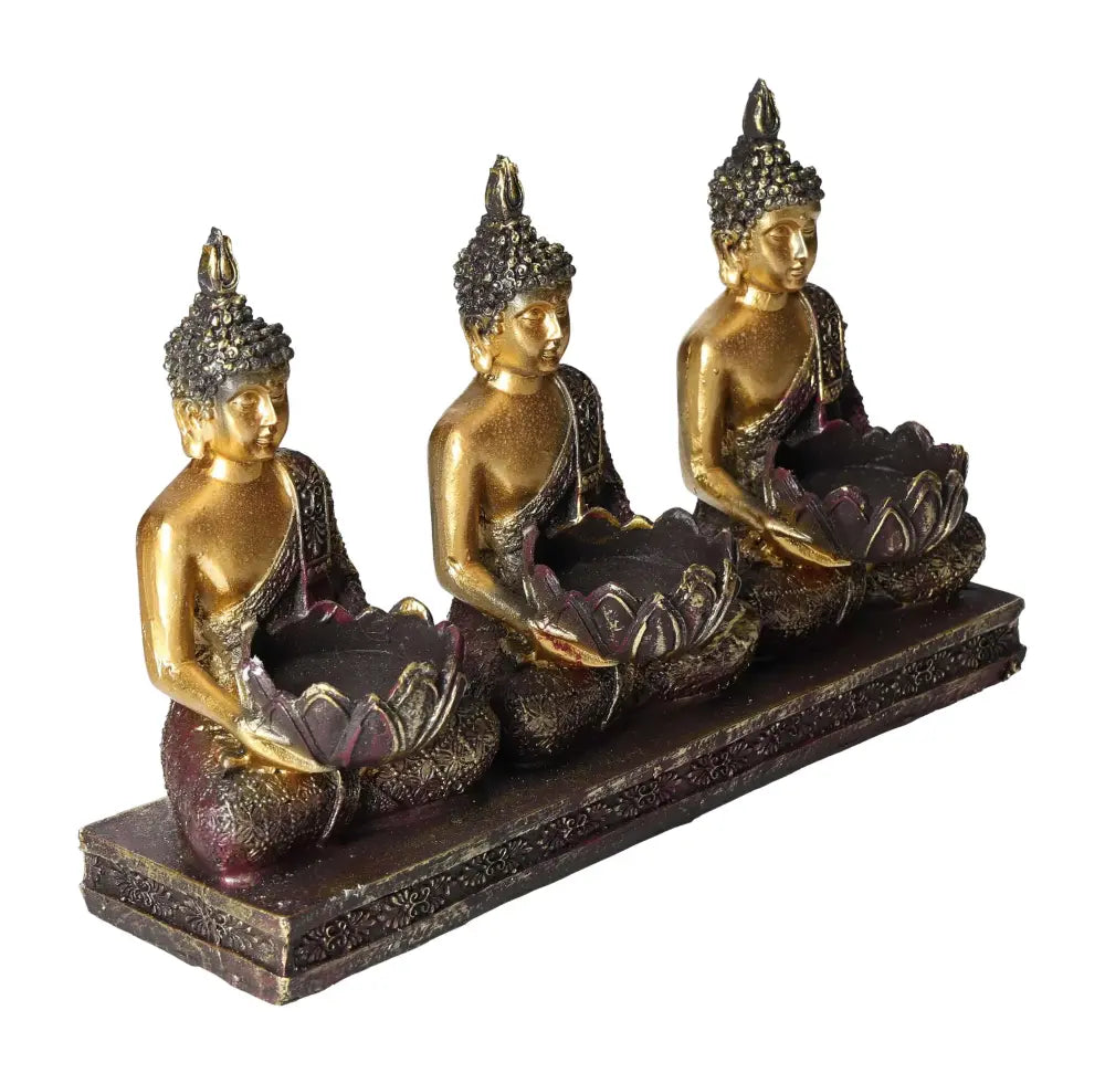 orbitvu|type:image2d