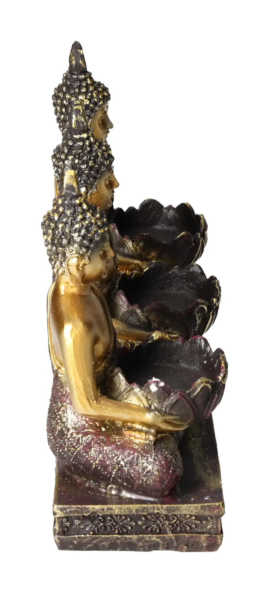 orbitvu|type:image2d