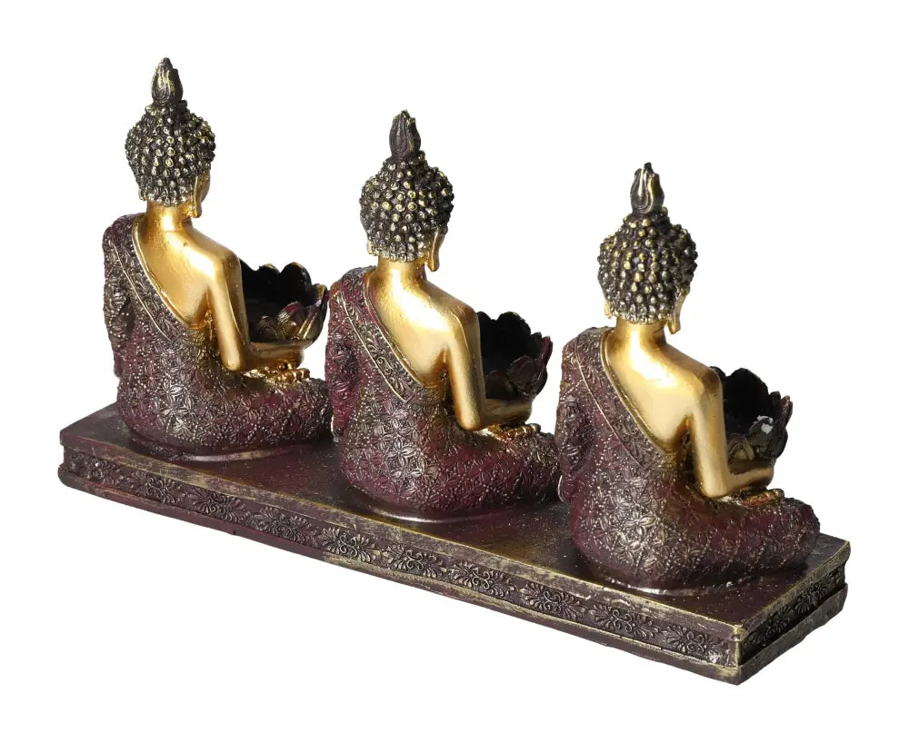 orbitvu|type:image2d