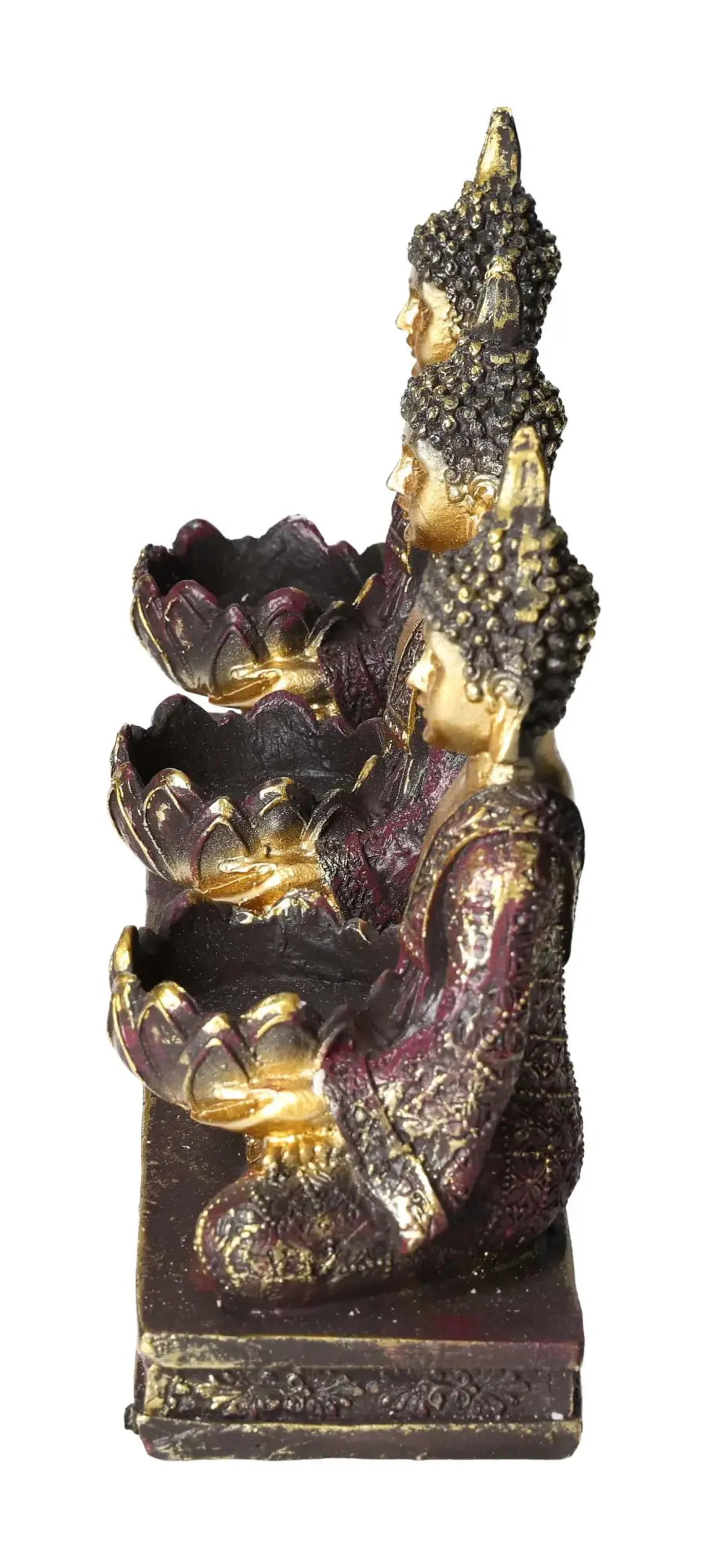 orbitvu|type:image2d