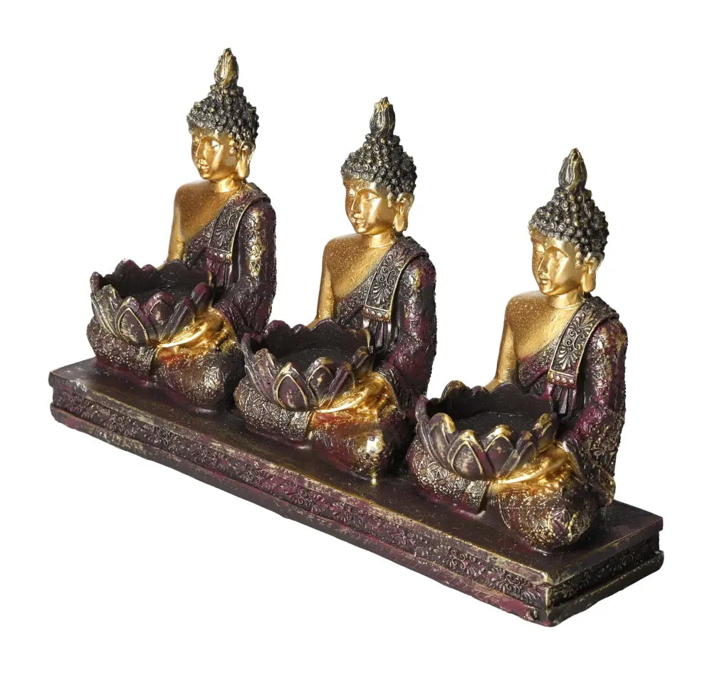 orbitvu|type:image2d