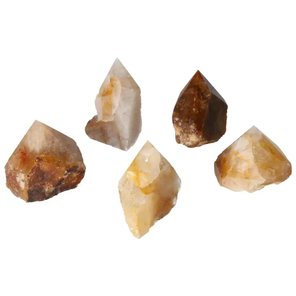 Top Polished Hematoide L Crystals with Vibrant Red and Orange Hues, Handpicked for Quality by Sylvia Crystals