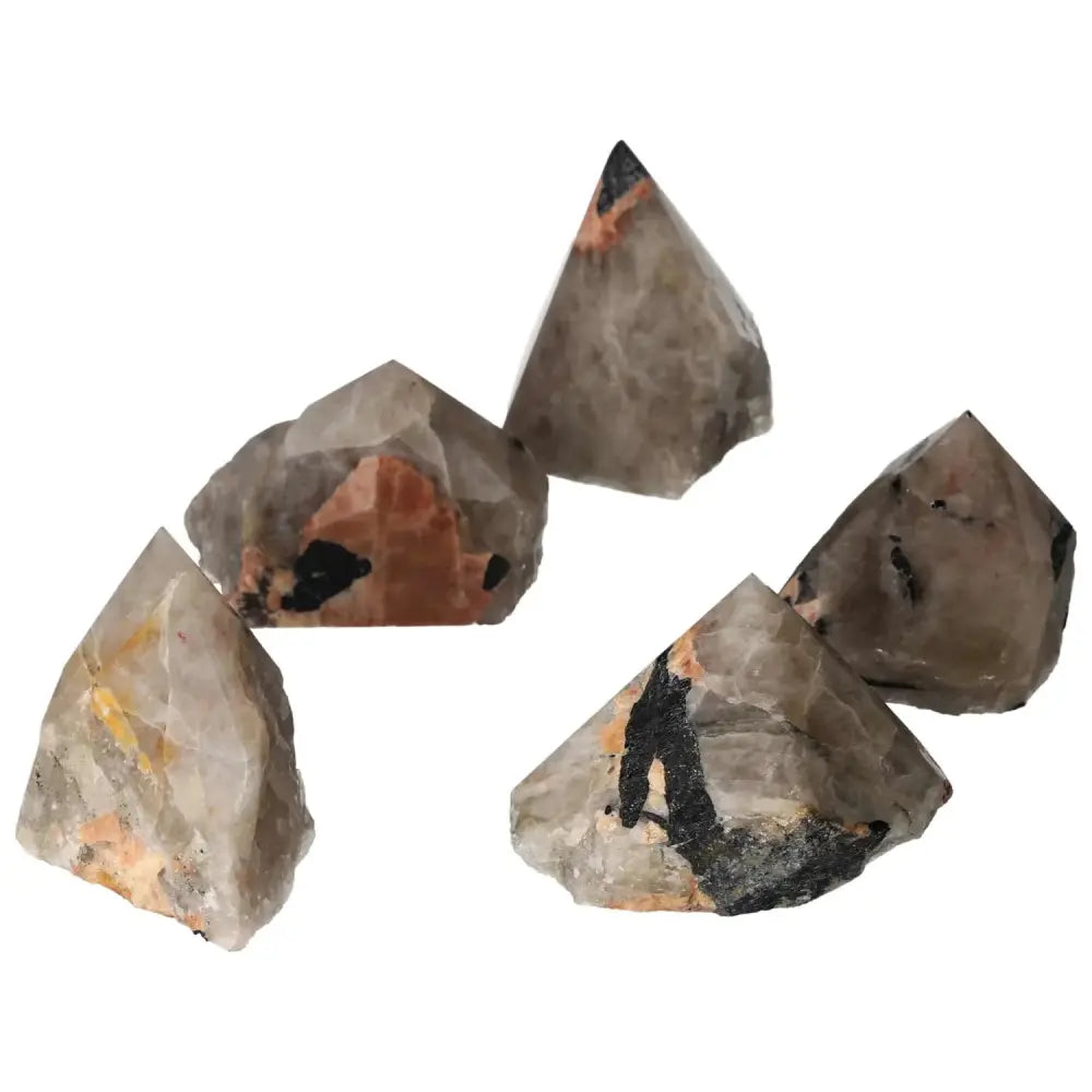 orbitvu|type:image2d