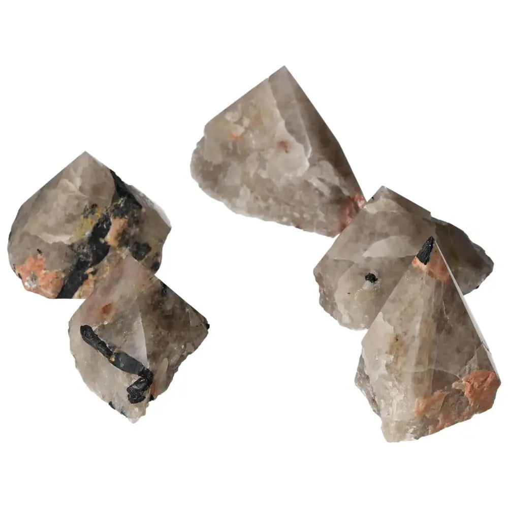 orbitvu|type:image2d