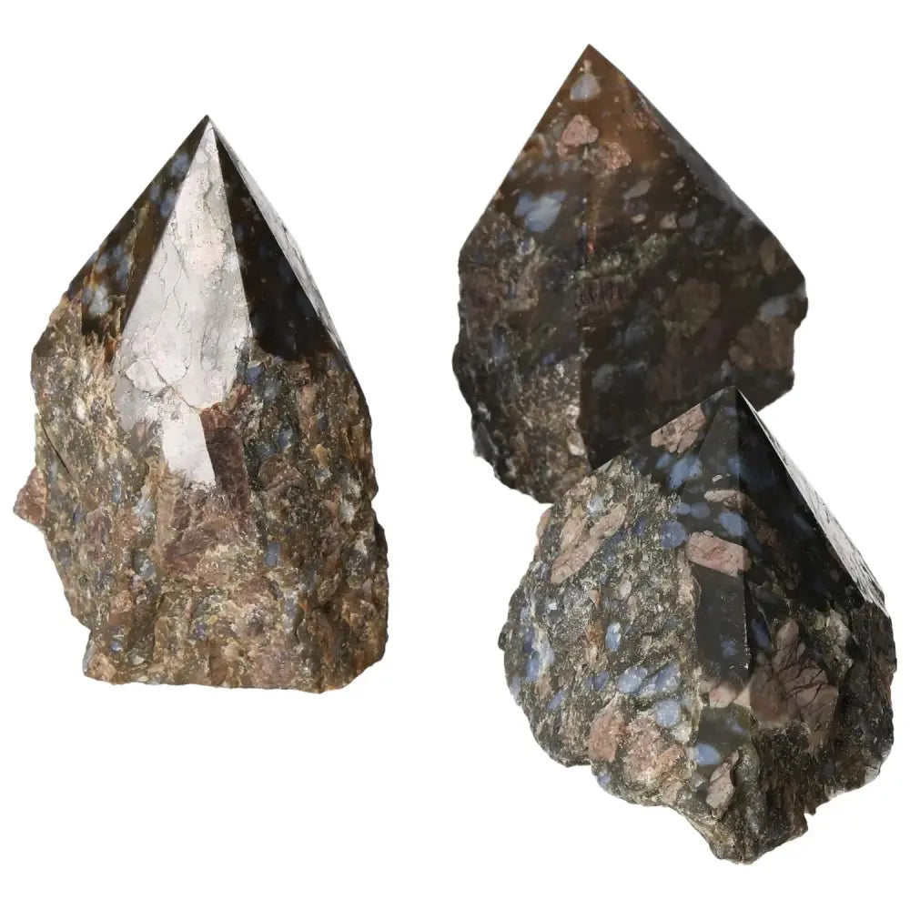 orbitvu|type:image2d