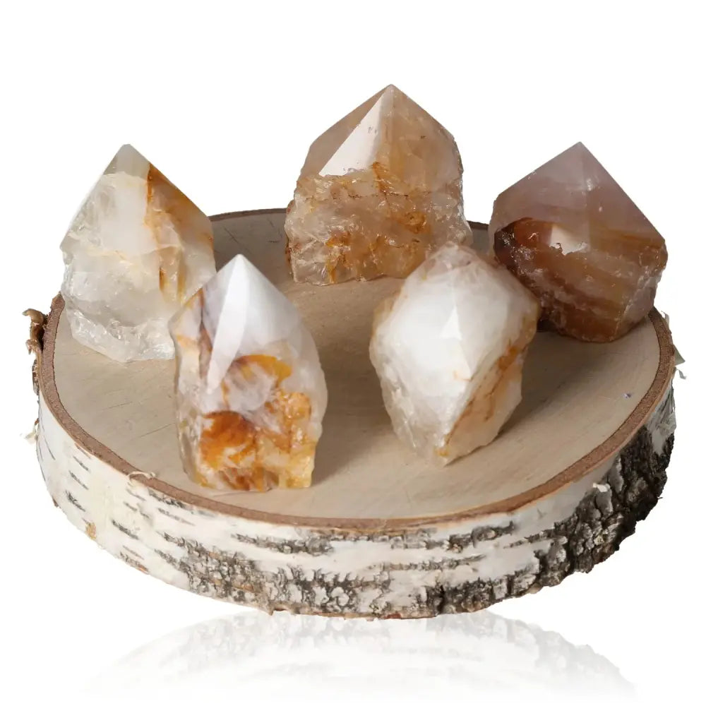 orbitvu|type:image2d