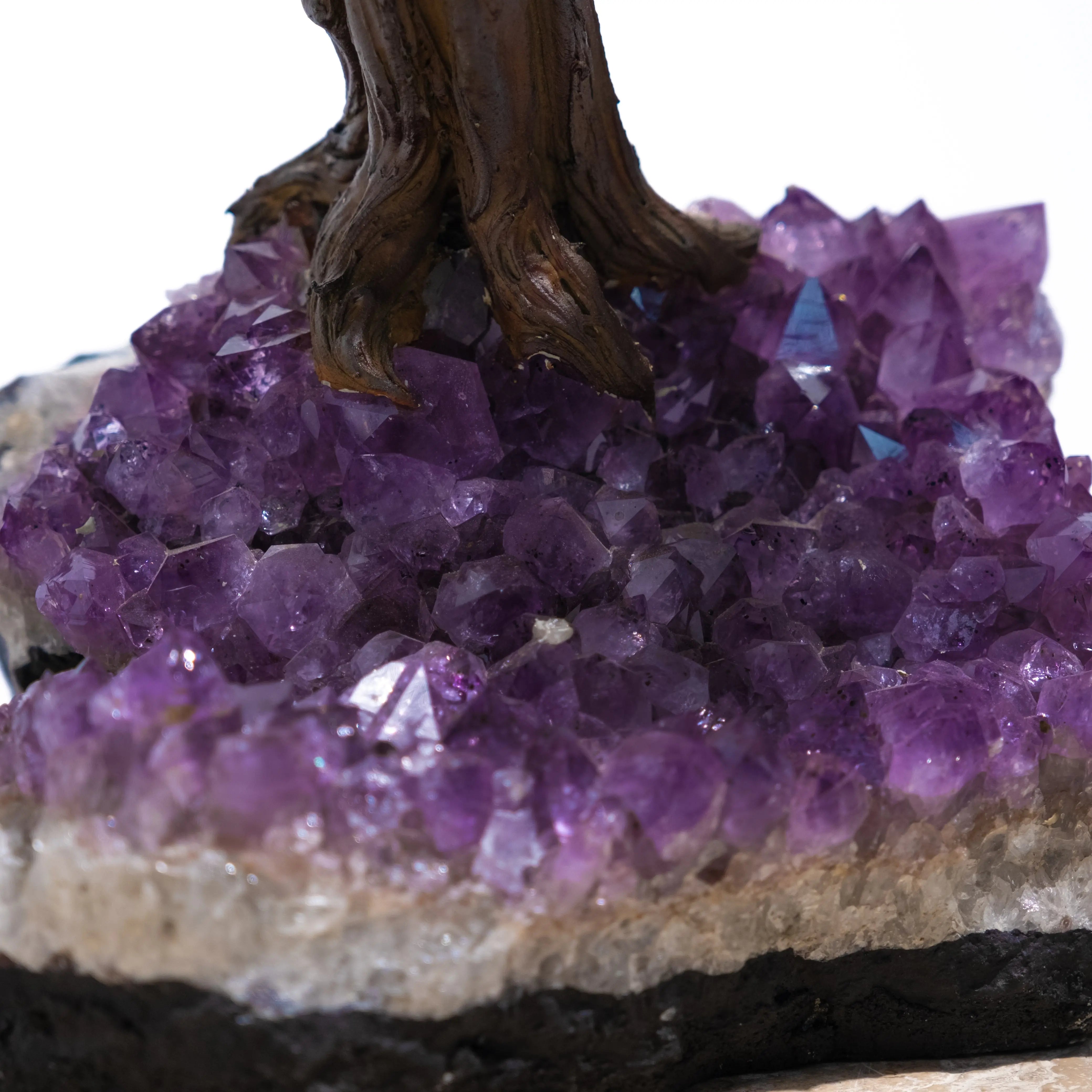 Close-up of a stunning amethyst crystal with a wooden bonsai tree trunk, showcasing rich purple hues and intricate formations.