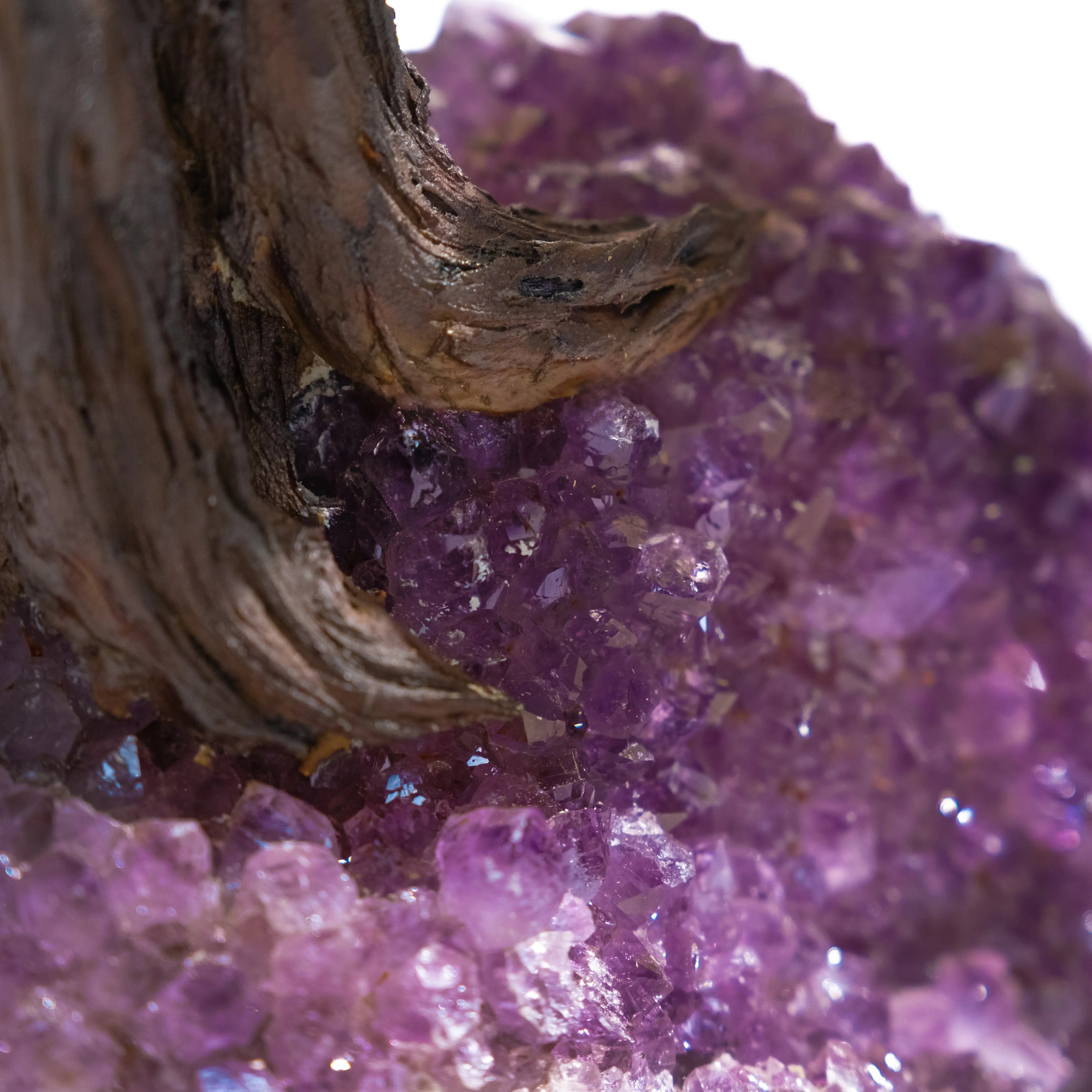Close-up of a tumbled citrine crystal tree displaying vibrant purple gemstones and a textured wooden trunk.