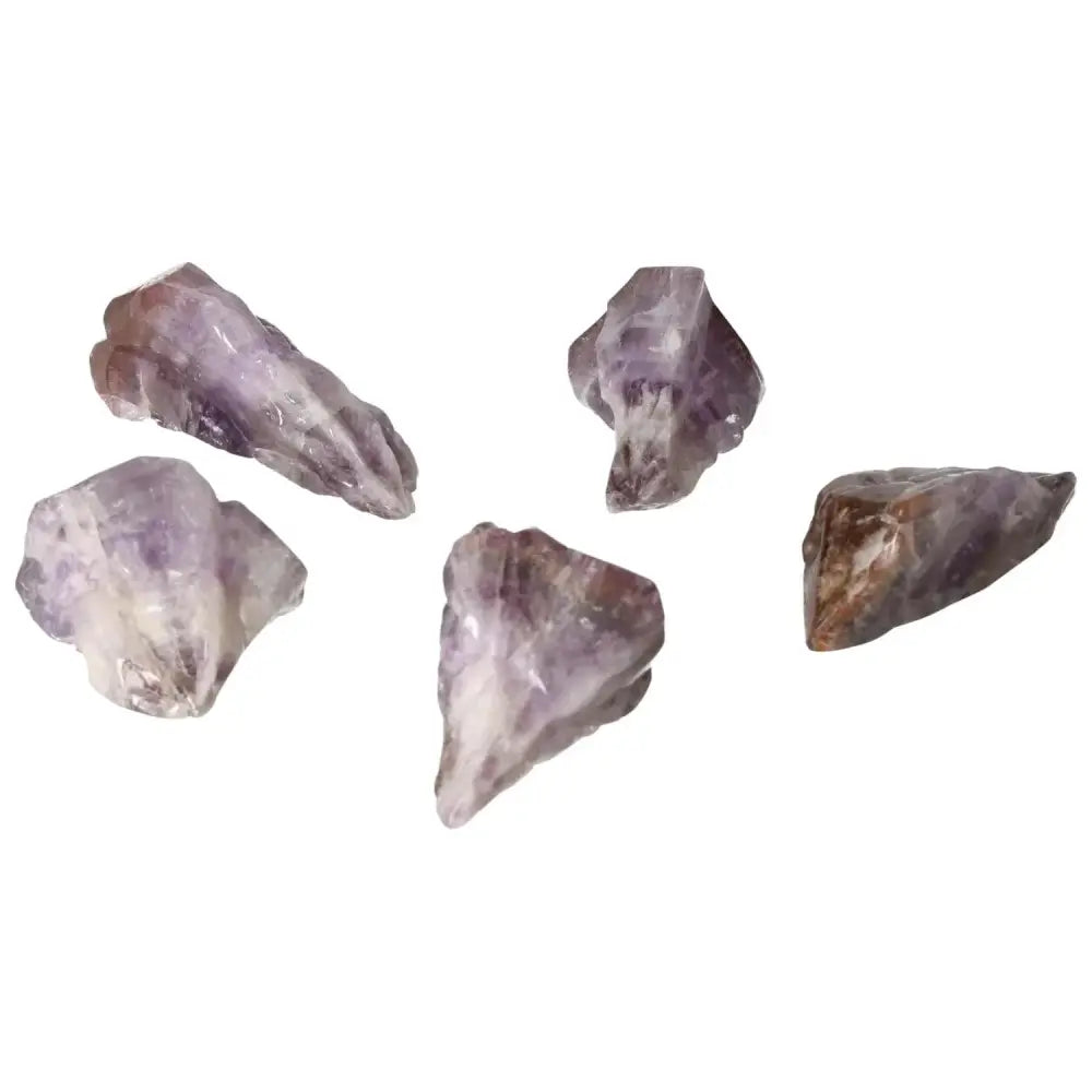 orbitvu|type:image2d