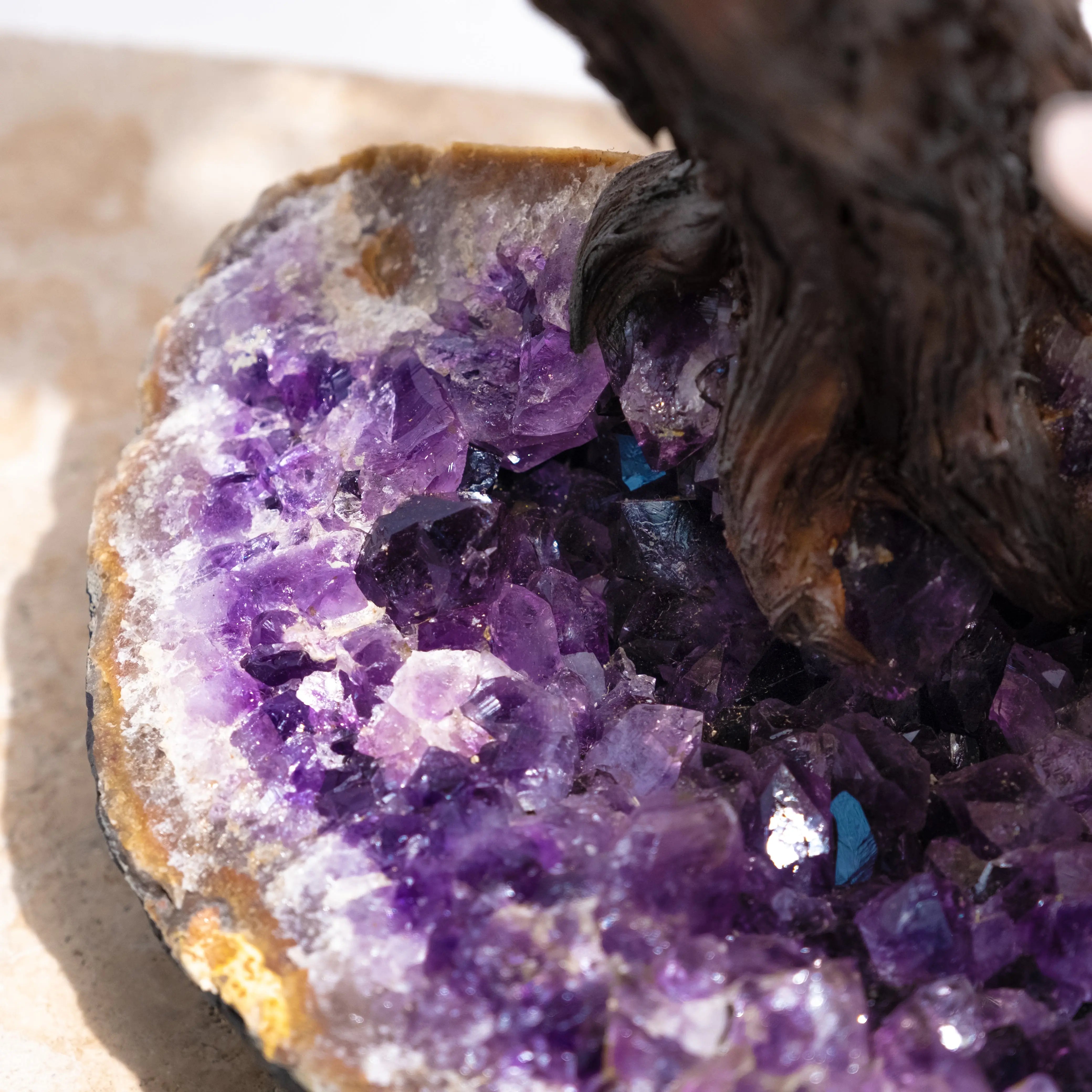 Close-up of tumbled quartz base on a bonsai tree, showcasing vibrant purple gemstones and textured bark.