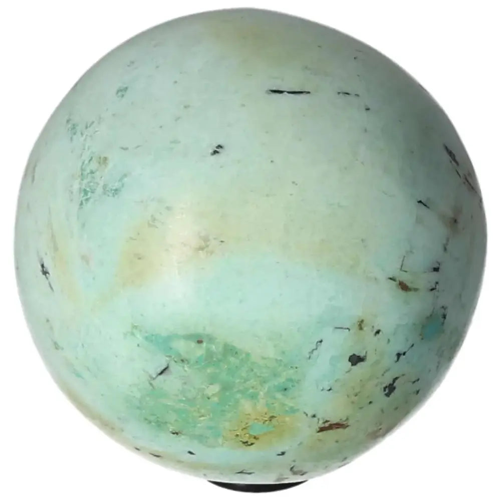 orbitvu|type:image2d