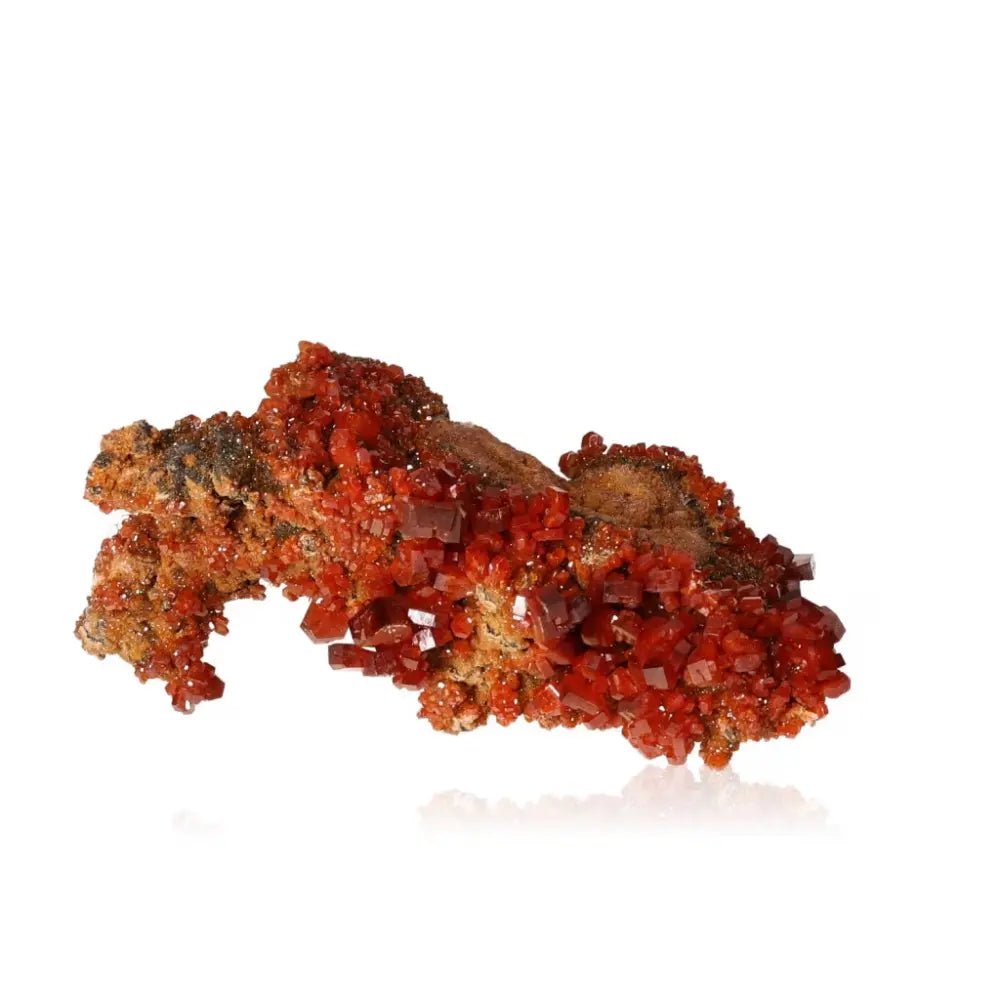 Vibrant red-orange Vanadinite Druze showcasing unique crystal formations, known for focus and creativity, perfect for collectors.