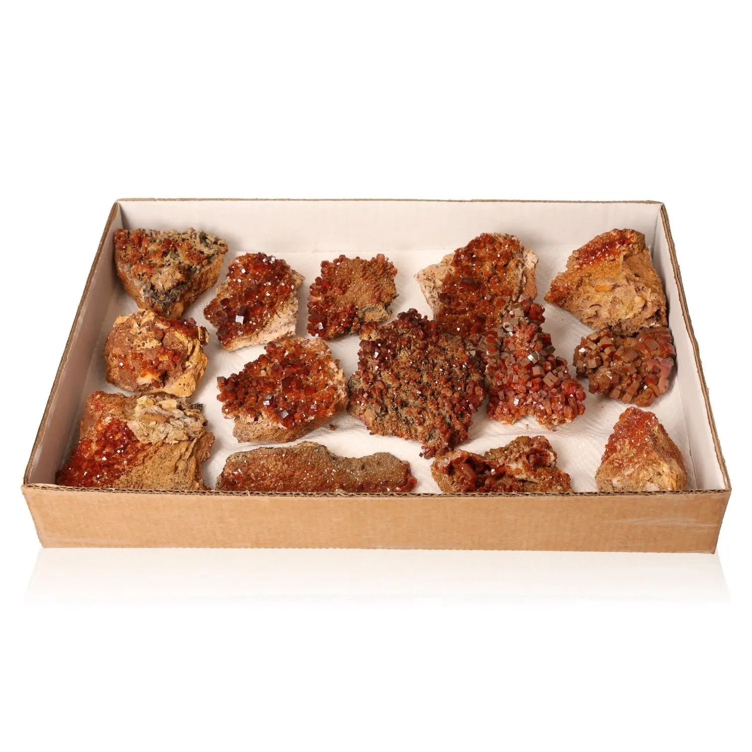 Collection of small Vanadinite druzy stones showcasing vibrant red-orange hues in a cardboard display box, perfect for collectors.