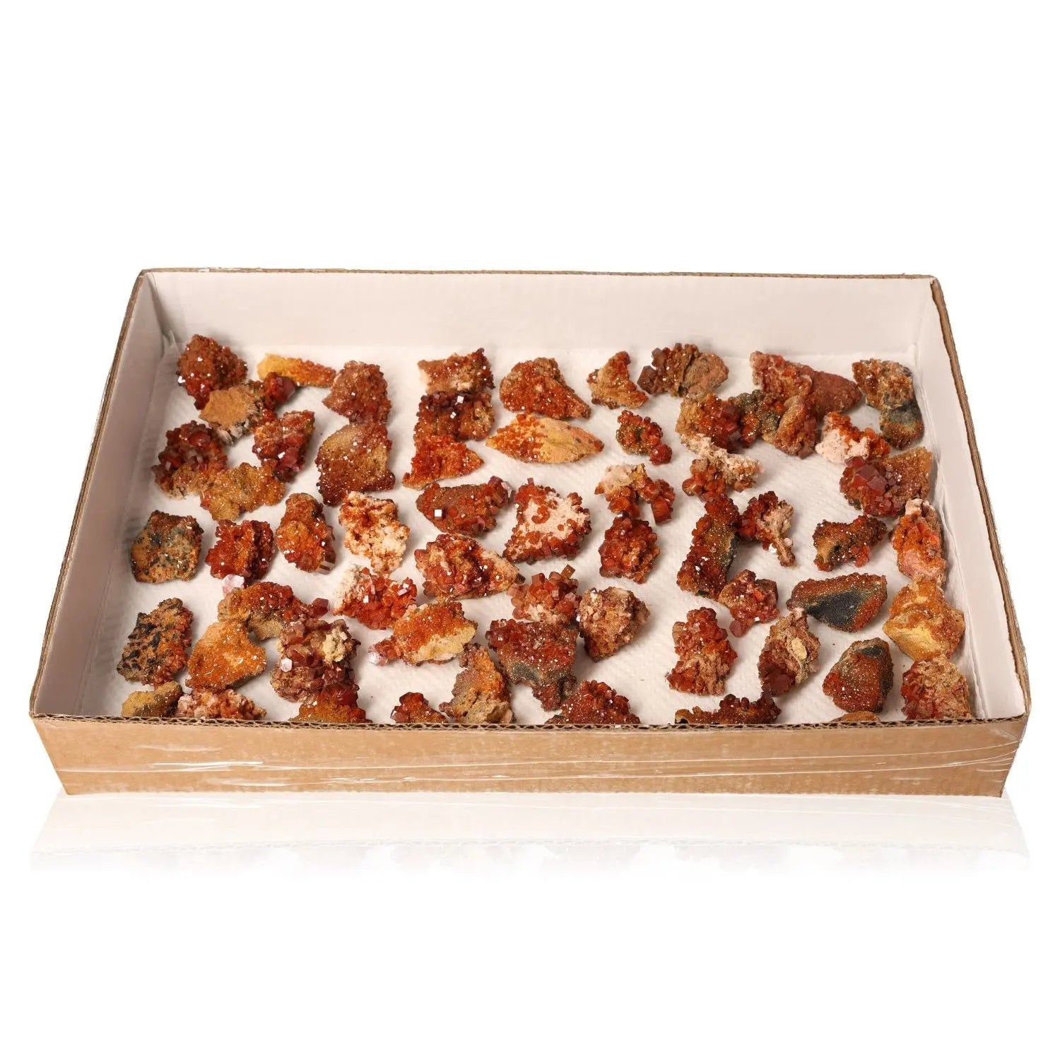 Vanadinite Small Druzes Collection in a box showcasing vibrant red-orange mineral crystals, perfect for collectors and creativity seekers.