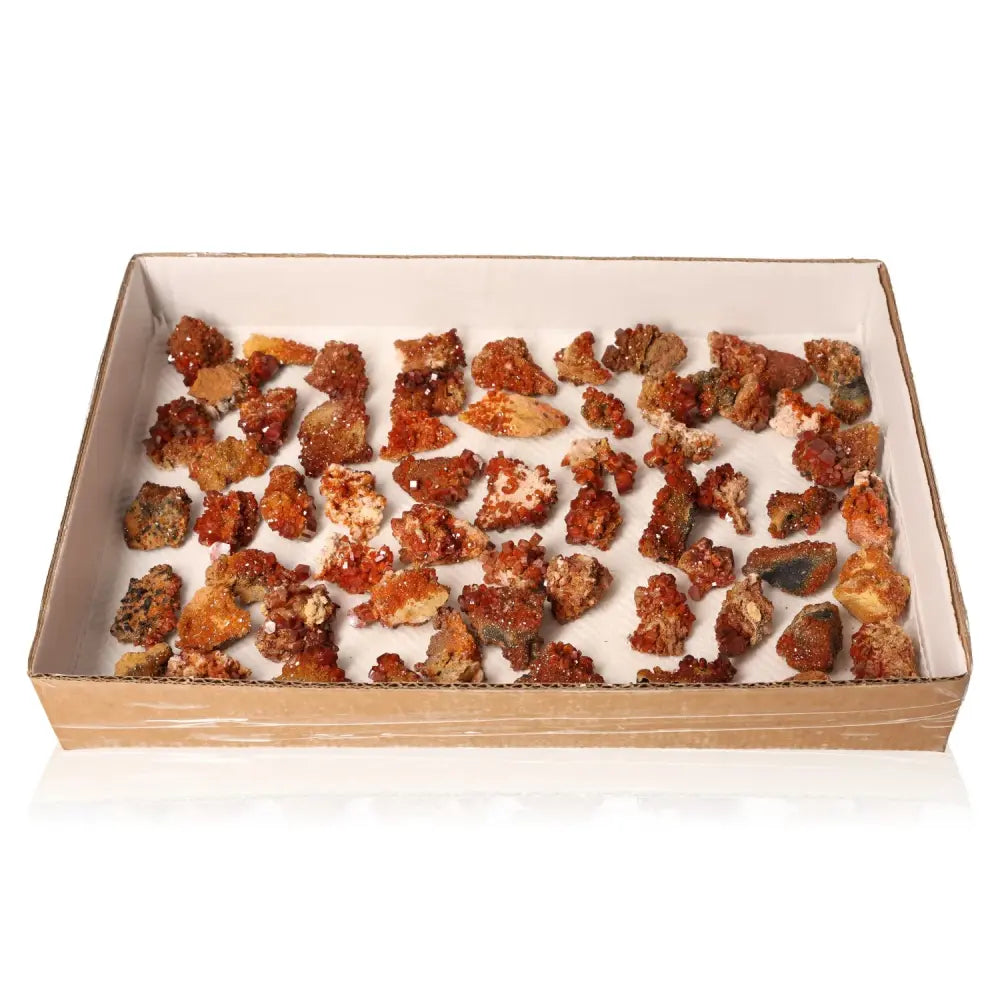 Vanadinite small druzes collection in box, vibrant red-orange crystals, perfect for creative focus and energy.