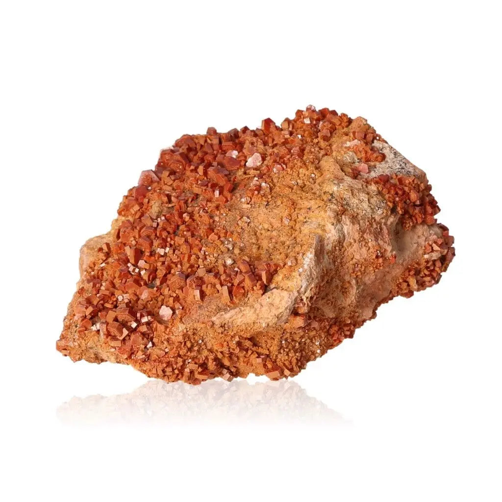 Vanadinite druze showcasing vibrant red-orange crystals, ideal for focus and creativity. Perfect for collectors and enthusiasts.