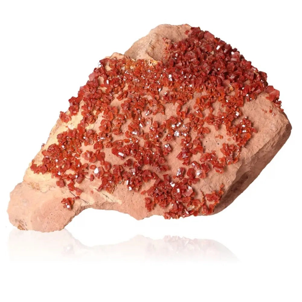 Vibrant Vanadinite crystal druzy featuring fiery red-orange hues, perfect for enhancing focus and creativity in collectors and creatives.