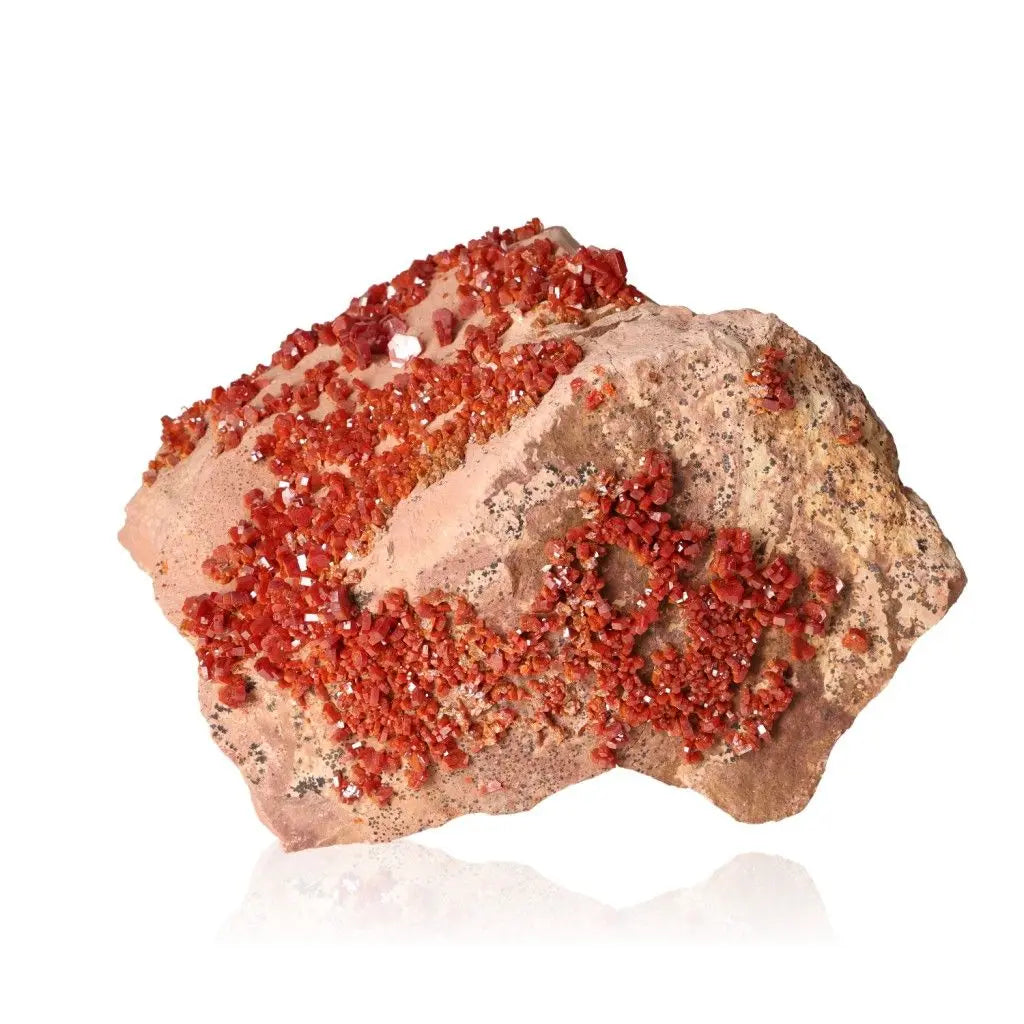 Vanadinite druze showcasing vibrant red-orange crystals, ideal for collectors and enhancing focus and creativity.