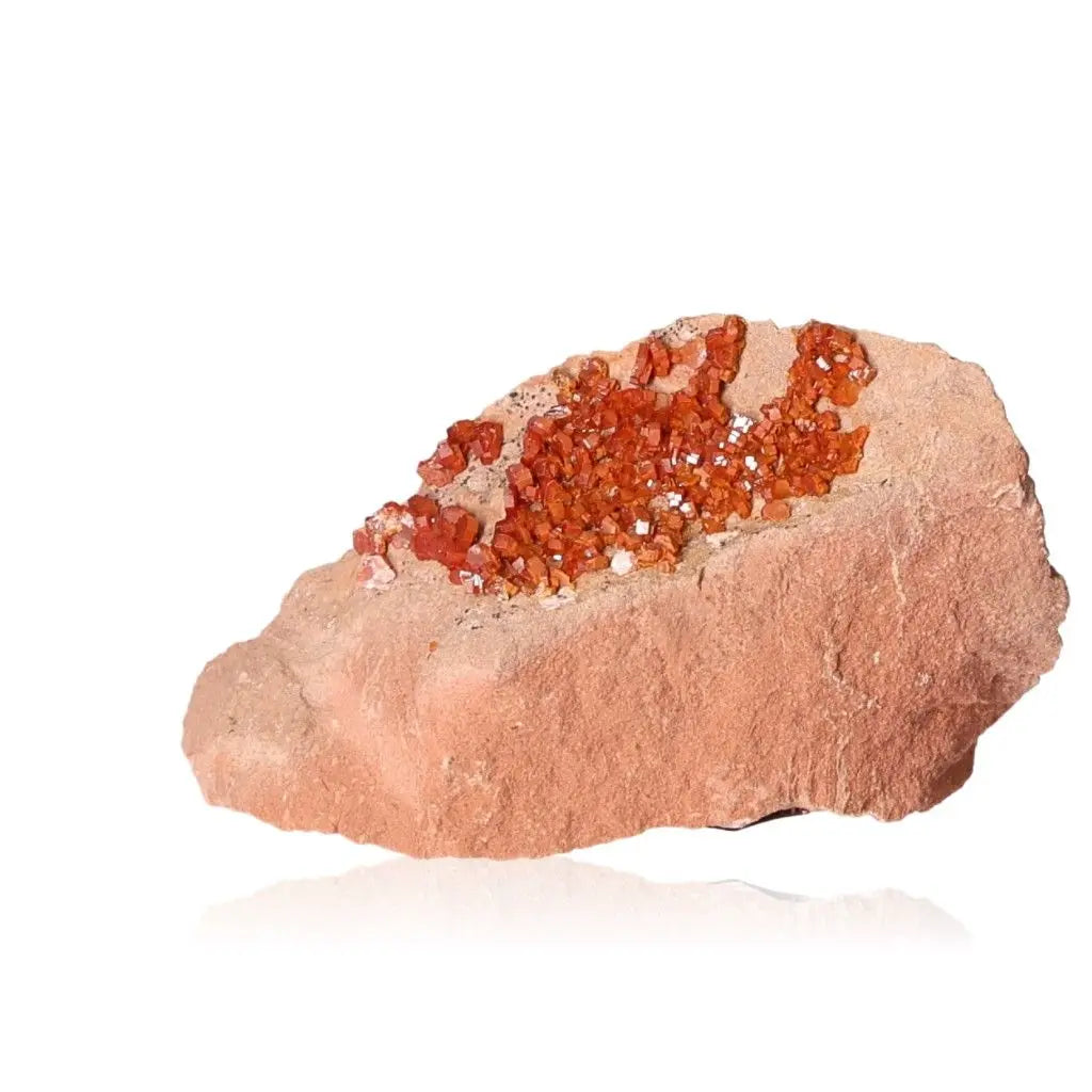 Vanadinite druzes with vibrant red-orange crystals on rough stone, promoting focus and creativity; ideal for collectors and creatives.