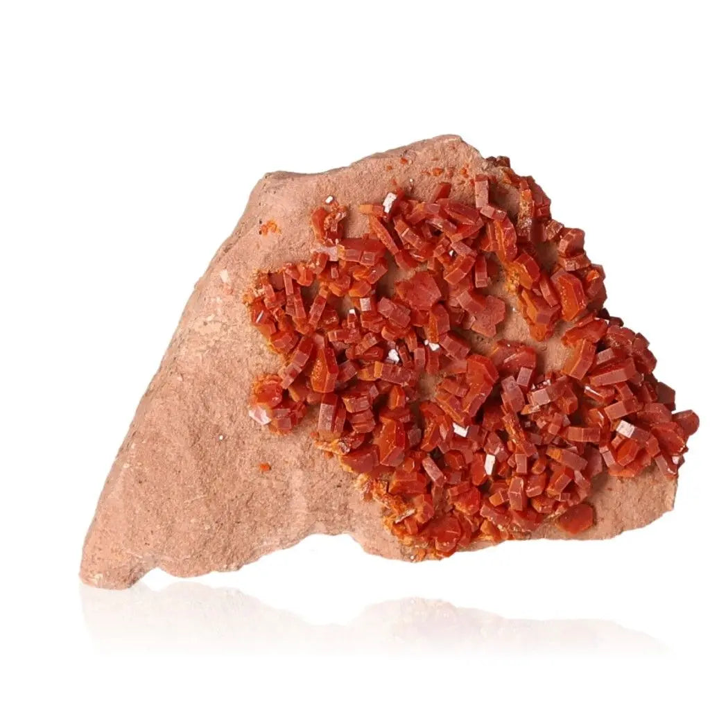 Vanadinite druze with vibrant red-orange crystals, ideal for enhancing focus and creativity. Essential for collectors and energy seekers.