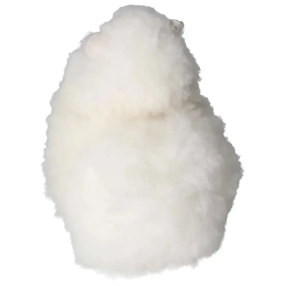 orbitvu|type:image2d