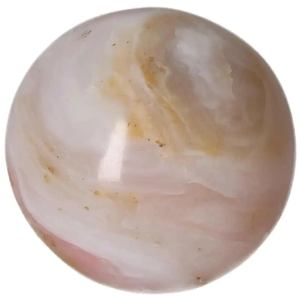 orbitvu|type:image2d