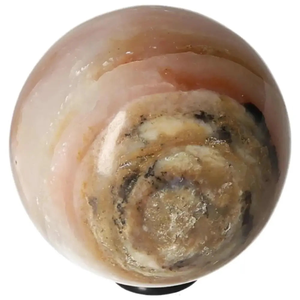 orbitvu|type:image2d